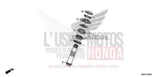 TIGE D'ARBRE GL1800DAK de 2019